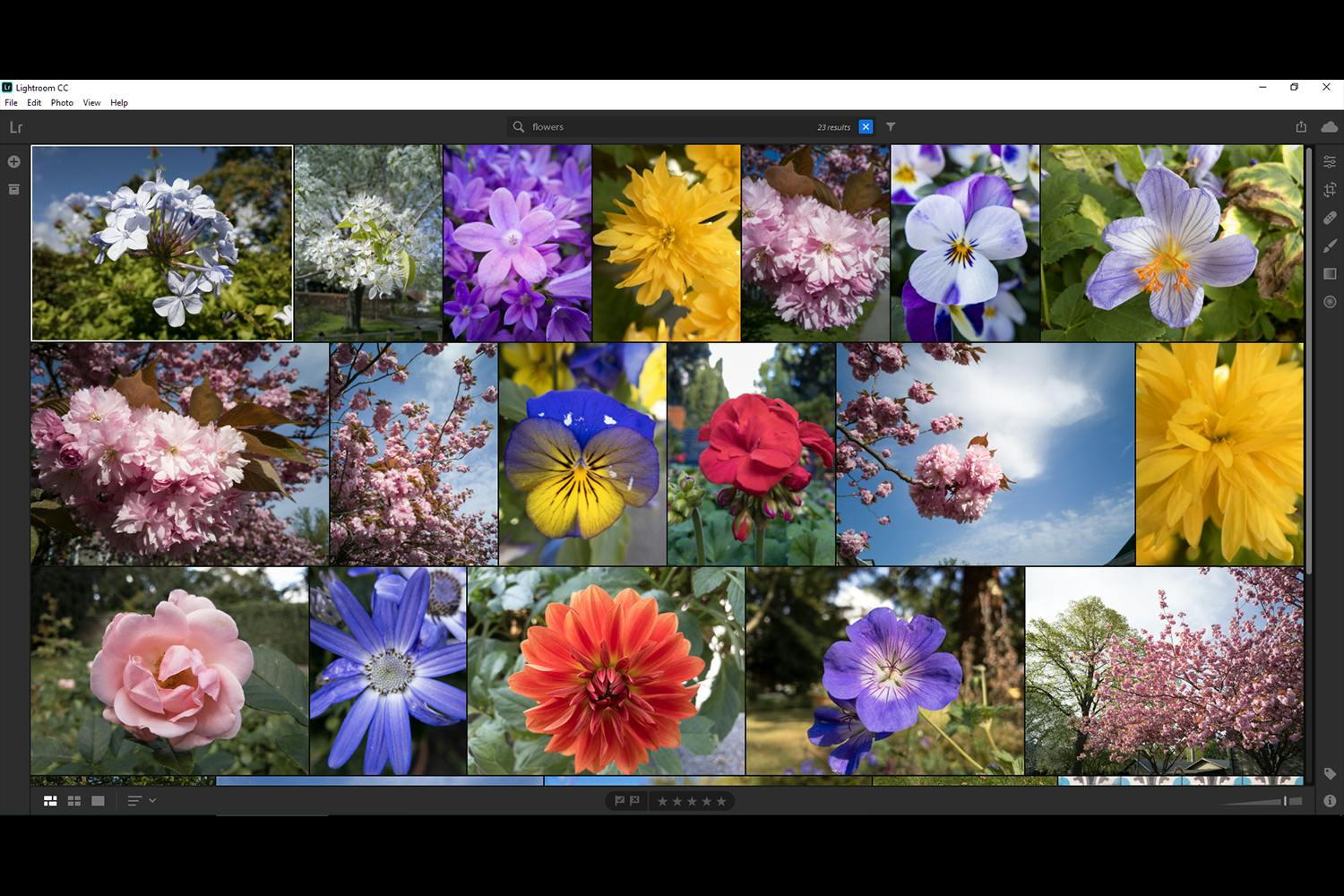 lightroom search Adobe Photoshop Lightroomin pikavalinnat